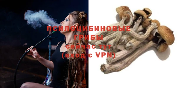 mdpv Железноводск