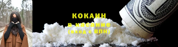 прущие крисы Дубовка