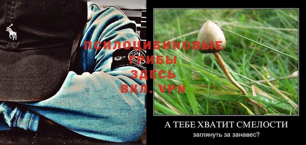 таблы Дубна