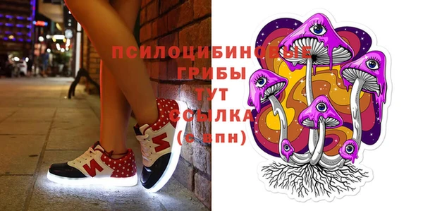 прущие крисы Дубовка