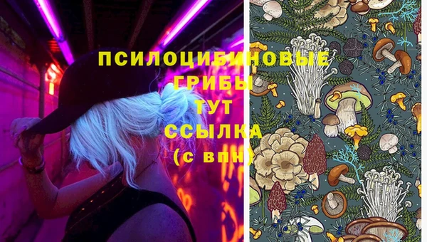 прущий лед Дрезна